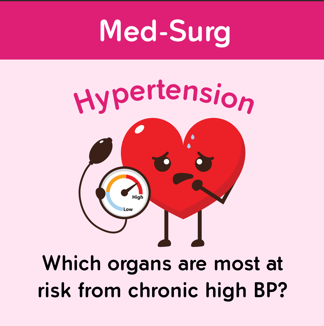 Ultimate NCLEX Study Pack: Flashcards, Questions & Guide