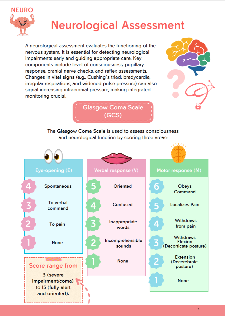 The Nursing School Bundle Ebook – 446 Pages of Pure Fun & Visual Notes