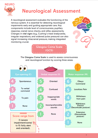 The Nursing School Bundle Ebook – 446 Pages of Visual Notes