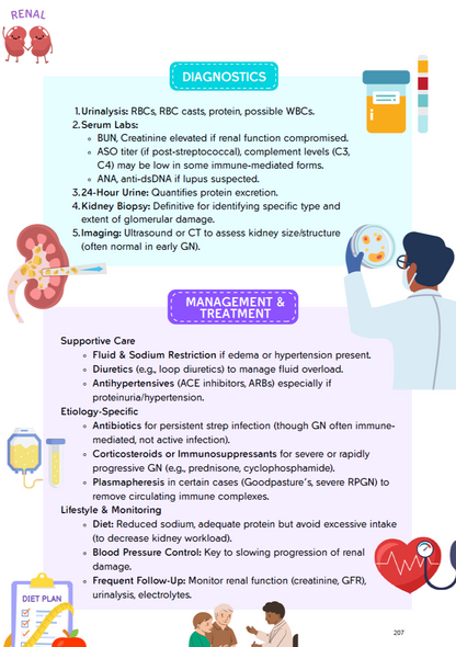 The Nursing School Bundle Ebook – 446 Pages of Visual Notes