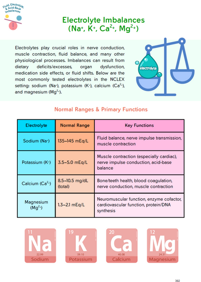 The Nursing School Bundle Ebook – 446 Pages of Visual Notes