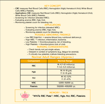 The Nursing School Bundle Ebook – 446 Pages of Visual Notes