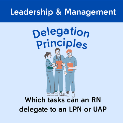 The Nursing School Bundle Ebook – 446 Pages of Visual Notes