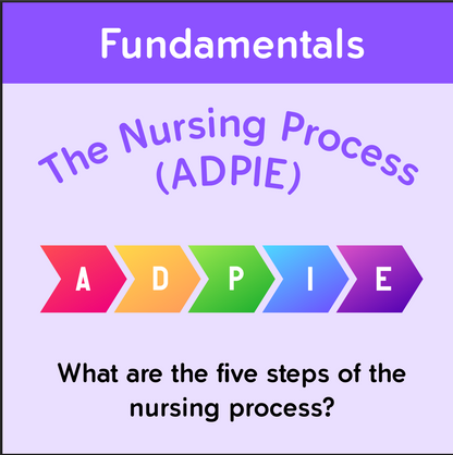 The Nursing School Bundle Ebook – 446 Pages of Visual Notes