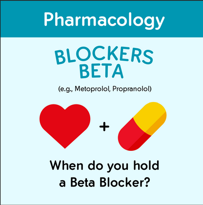 The Nursing School Bundle Ebook – 446 Pages of Visual Notes