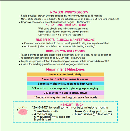 The Nursing School Bundle Ebook – 446 Pages of Visual Notes