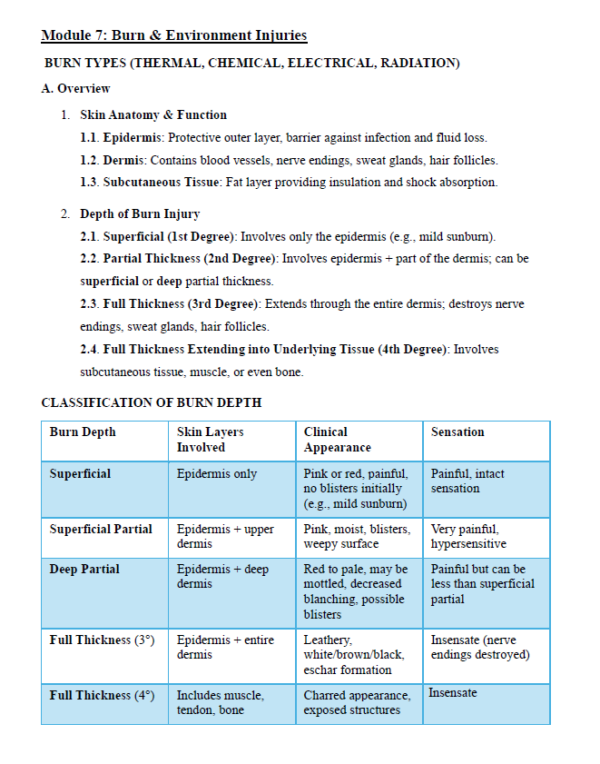 TNCC Exam Complete Study Guide: 160 Pages of Essential Content & Practice Questions