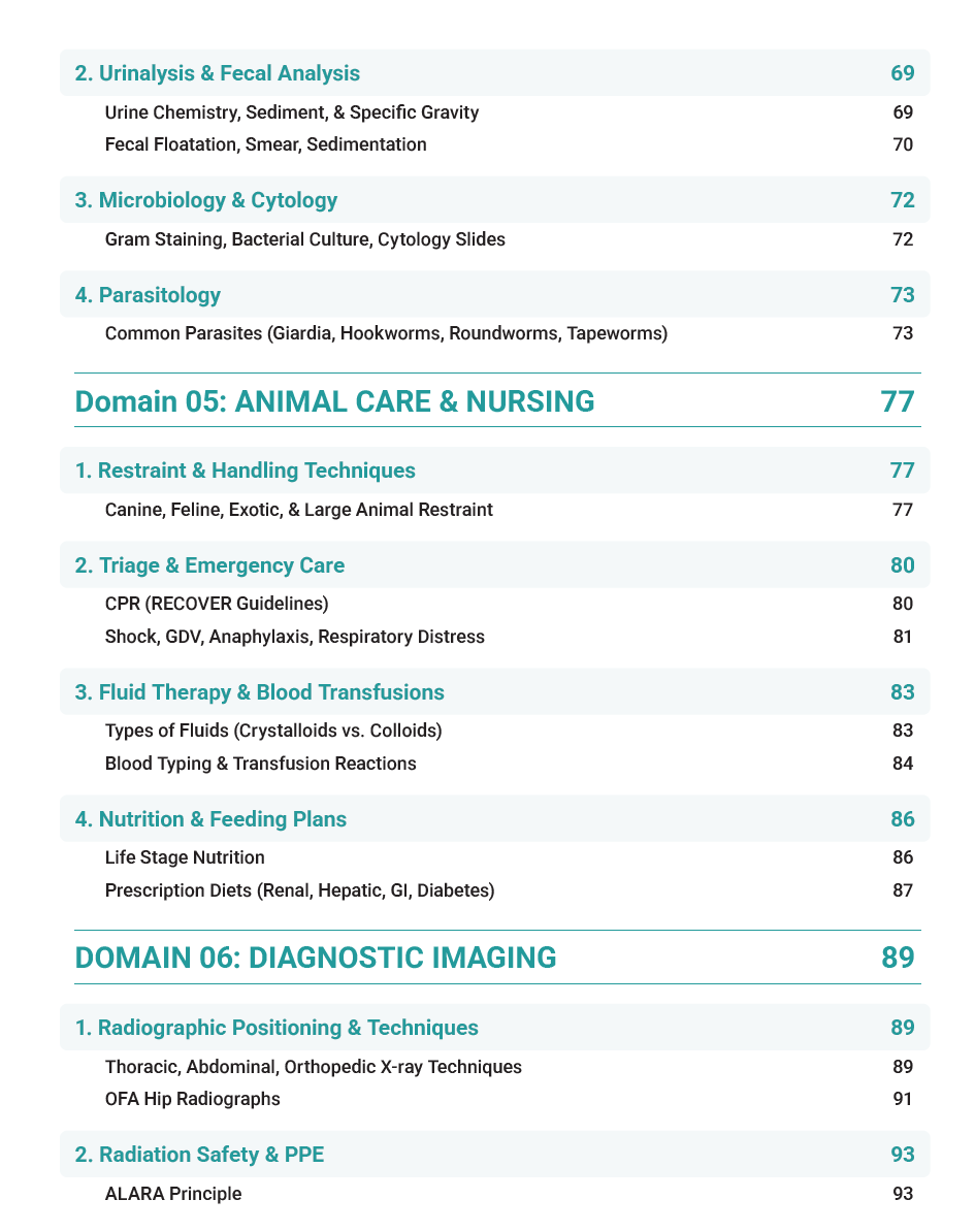 VTNE Complete Study Guide 2025