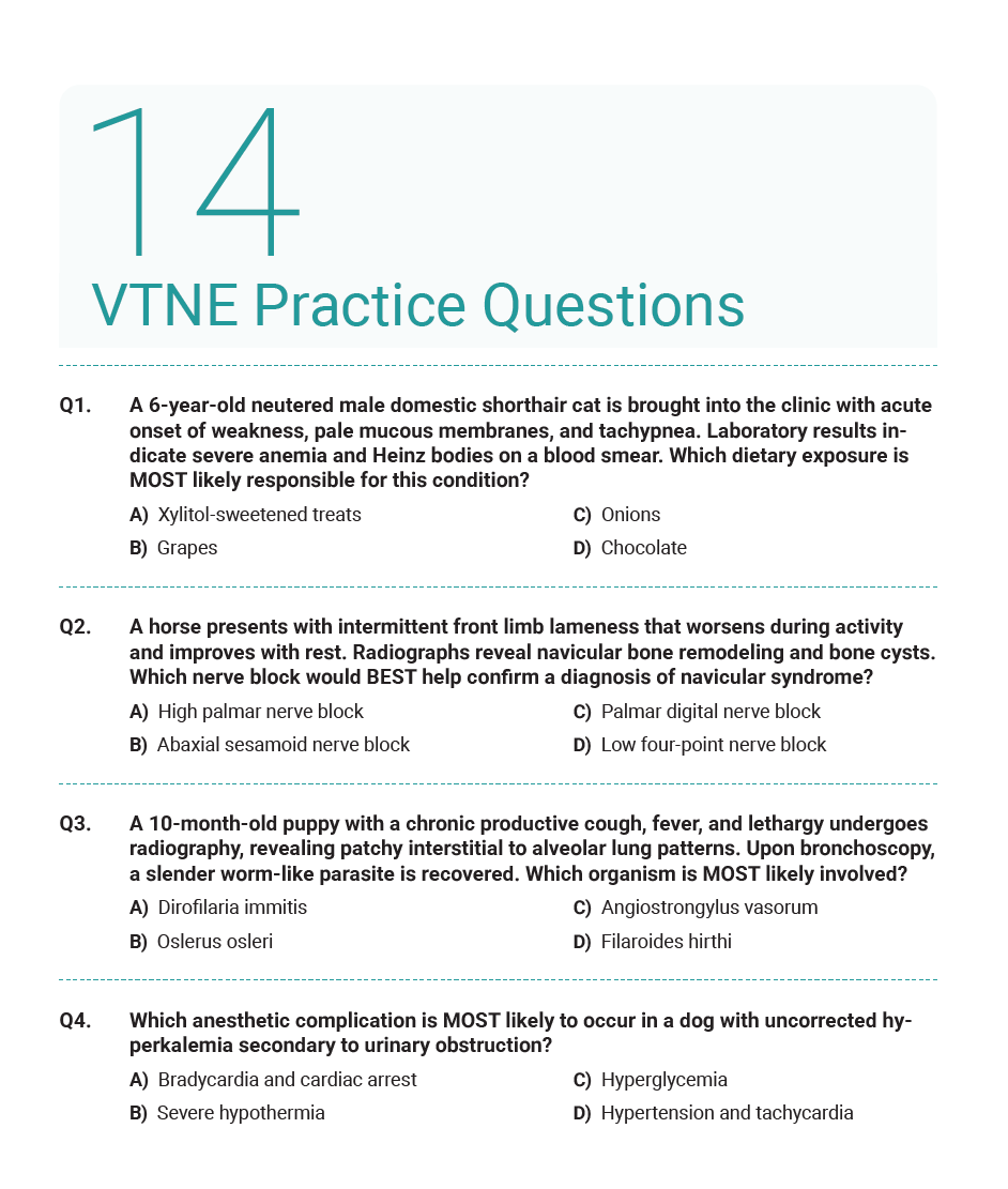 VTNE Complete Study Guide 2025