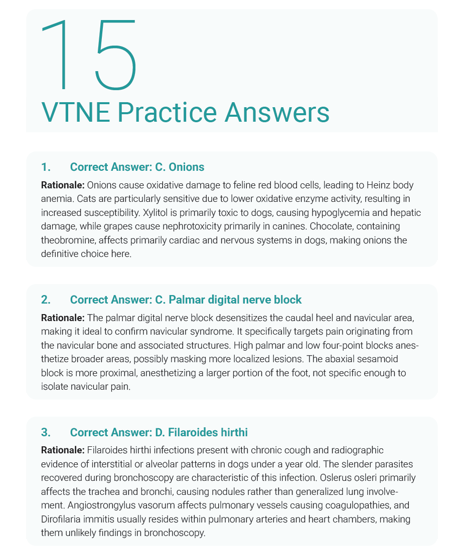 VTNE Complete Study Guide 2025