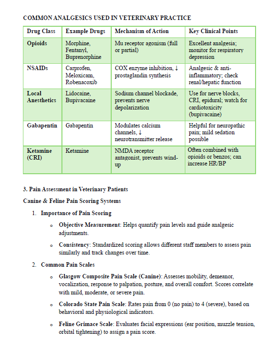 VTNE Exam Complete Study Guide: 208 Pages of Essential Content & Practice Questions